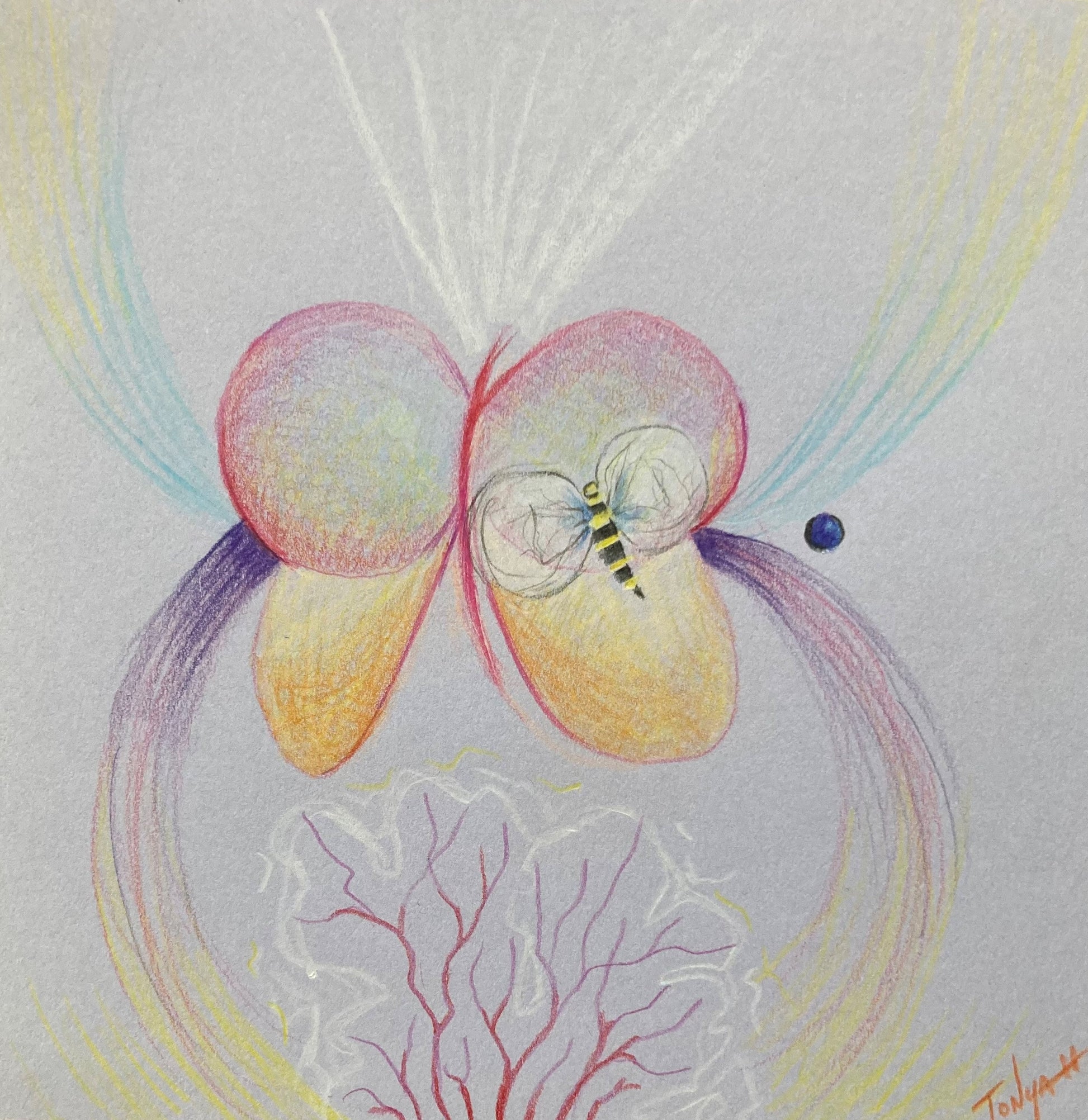 A colored pencil sketch of a butterfly and a bee over the top of coral. With a large infinity sign in the background.