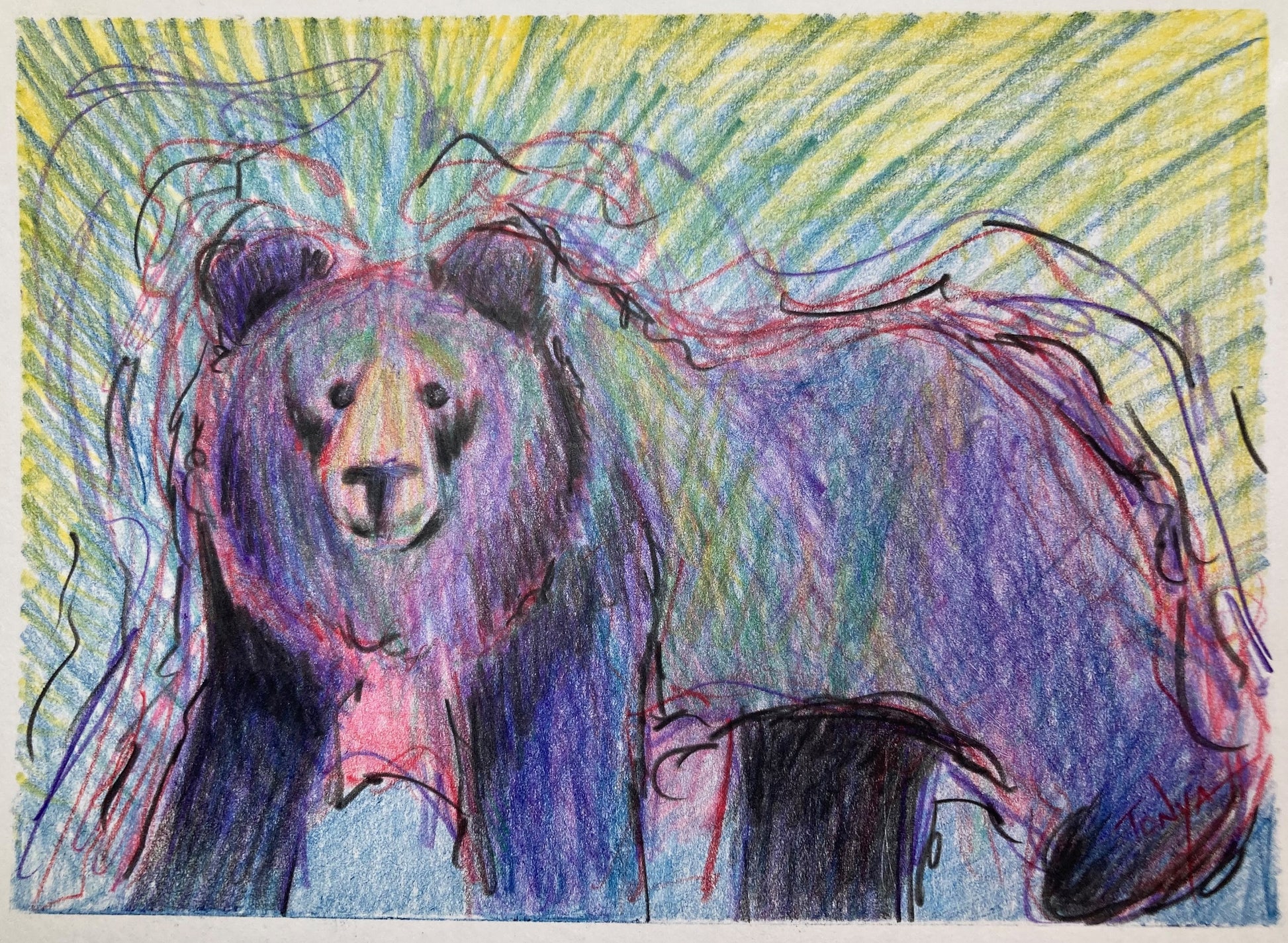 A colored pencil drawing of a large bear created in black, blue and purple, with wavy lines all around him. By spirit Artist Tonya Henderson.