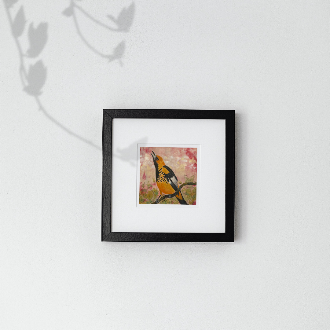 Framed original acrylic painting of an Oriole bird on a branch hanging on a white wall by artist Tonya Henderson.