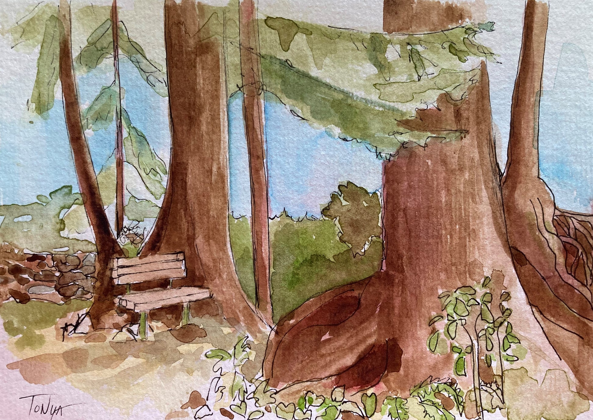A 5x7 original watercolor painting depicting a serene park bench along a woodland path in Ketchikan, Alaska, surrounded by greenery and large trees by artist Tonya Henderson.