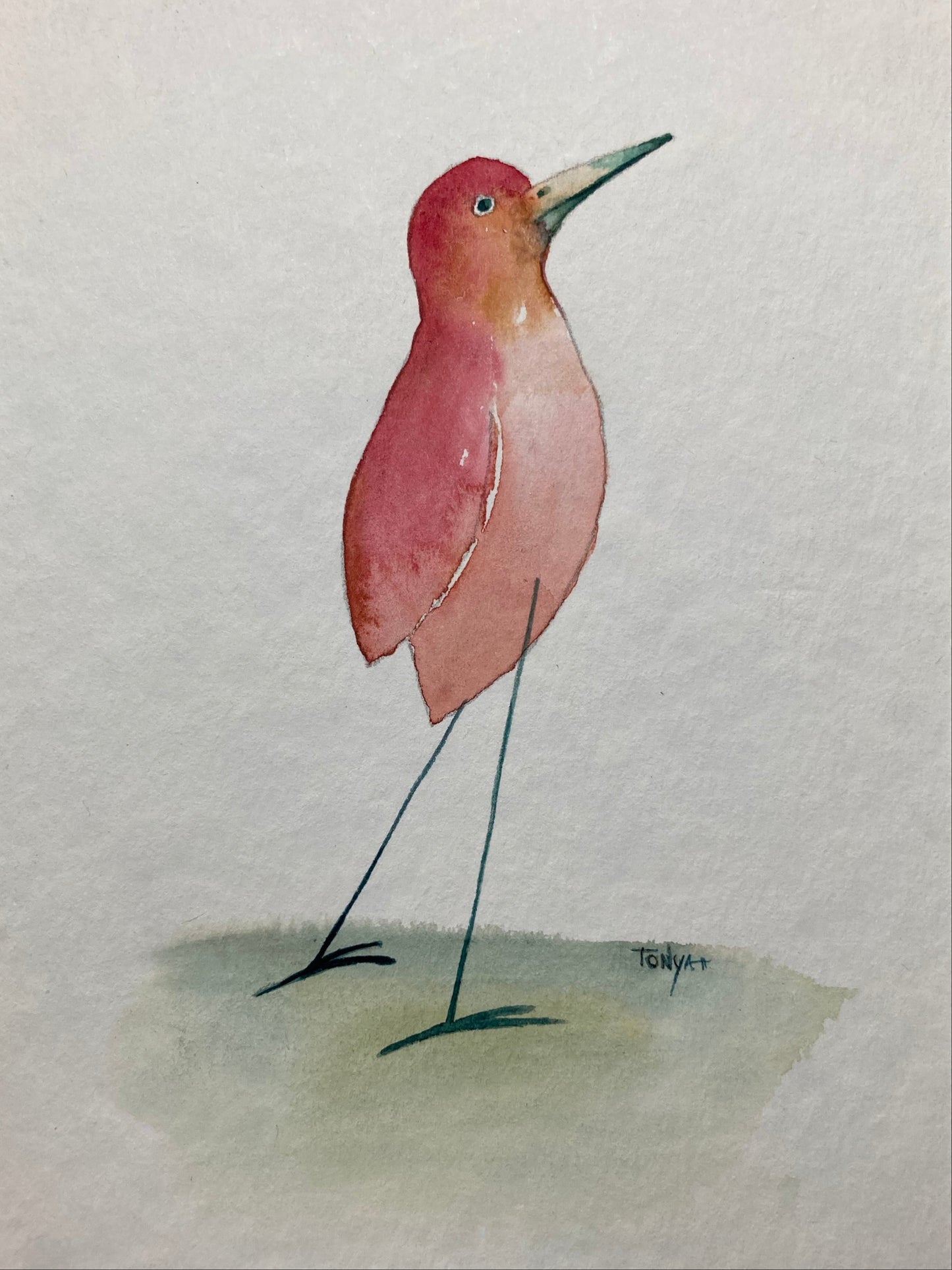 A original watercolor painting of a whimsical, red bird on a white background with a soft green area at the bottom. By artist Tonya Henderson.