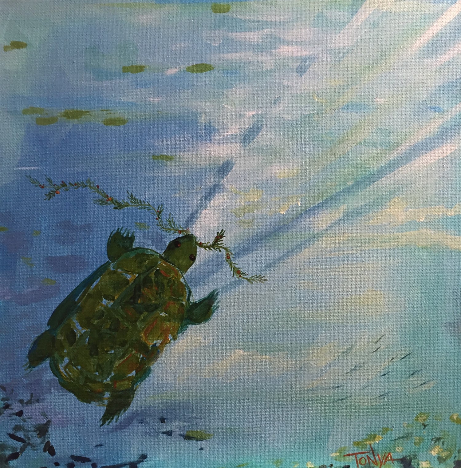 A turtle underwater with a streamer of green seaweed in it's mouth heading toward the surface and the light.