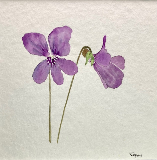A watercolor painting of purple violets. One is facing you and the other is a side view by artist Tonya Henderson.