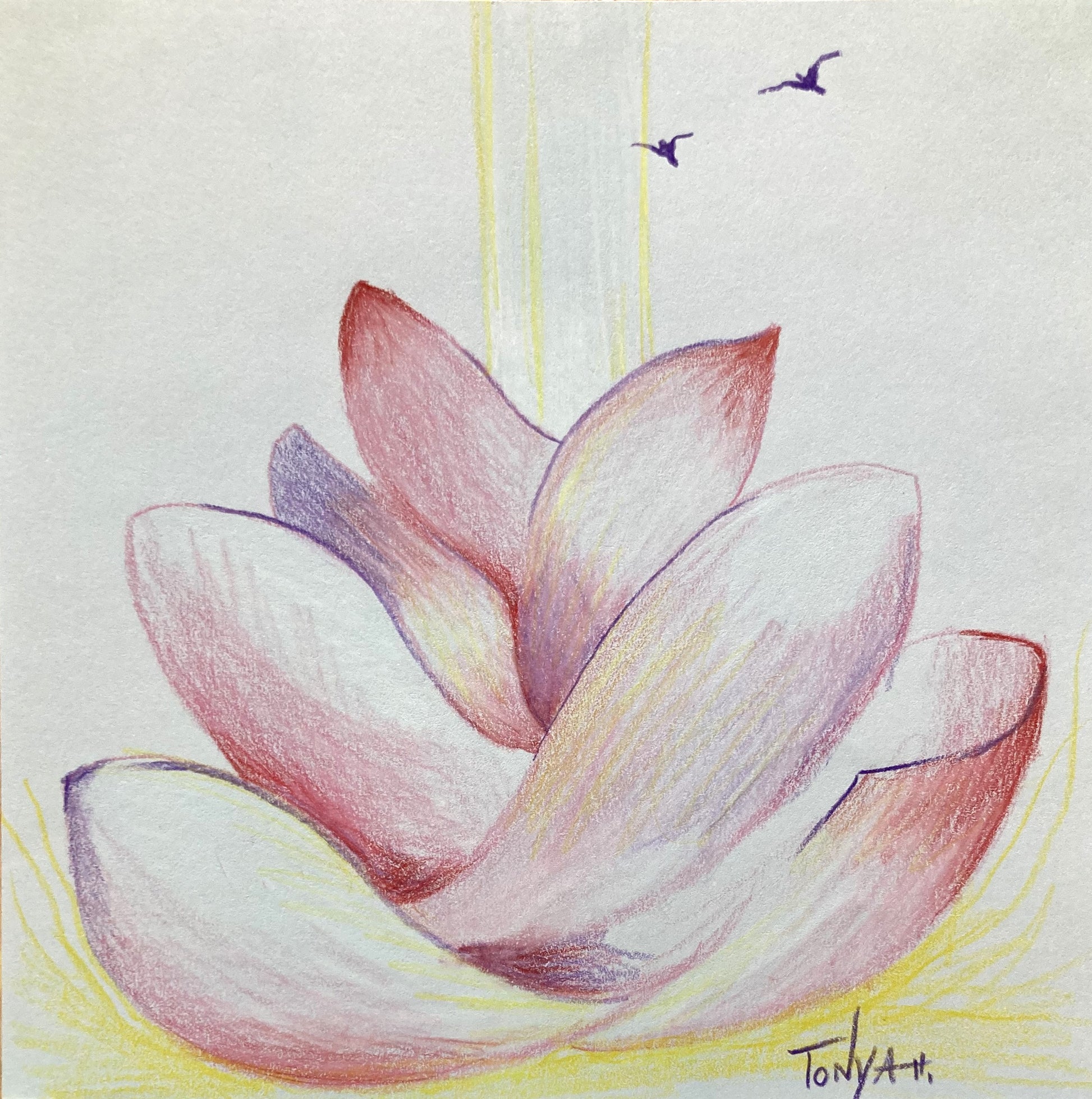 A colored pencil sketch of a lotus flower petals that look like a fountain and two small birds at the top.